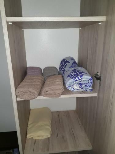 Apartment 135 In Bakuriani Residence