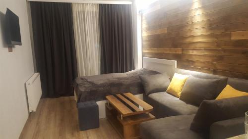 Cozy Apartment Near Gondola Loft1