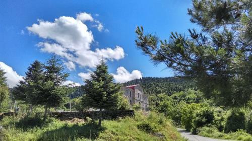 Hostal Valentini Guesthouse