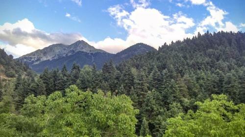 Hostal Valentini Guesthouse