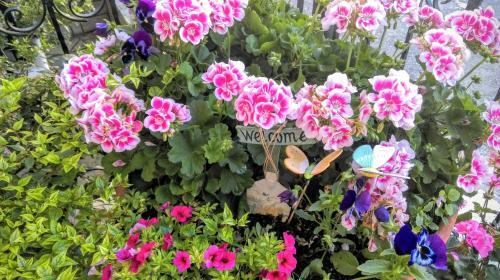 Hostal Valentini Guesthouse