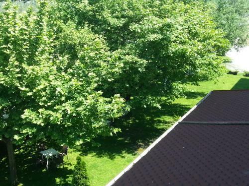 Denis Hotel And Bungalows
