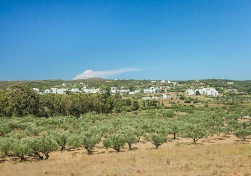 Apartamento Contaratos Holiday Lettings