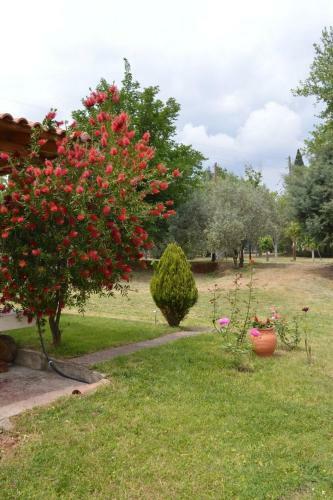 Hotel Ermis