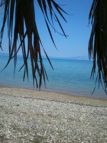 Hostal Evoikos Beach & Resort