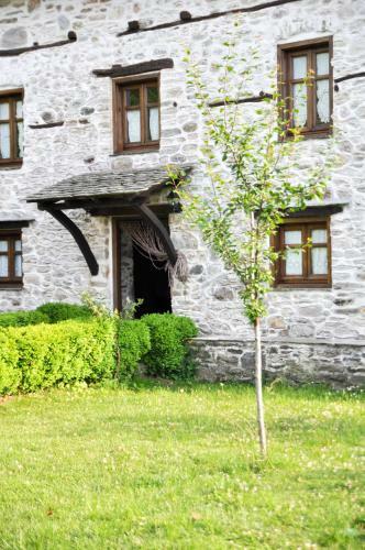 Stone Villa In The Forest