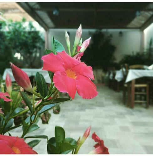 Apartamento Hotel Mochlos