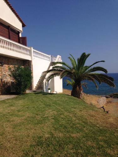 Villa Musuri