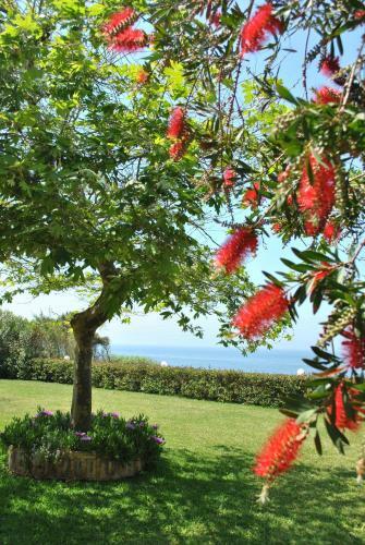 Aparthotel Iliovasilema Hotel