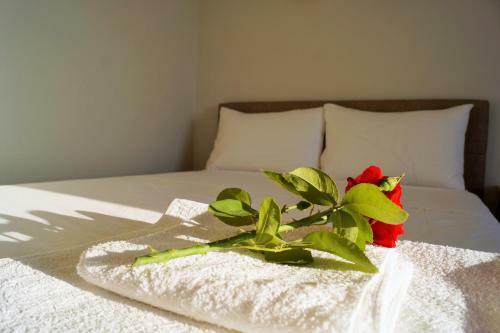 Hostal Argo Rooms And Studios