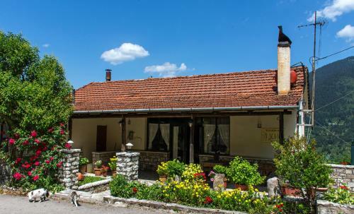 Hostal Guesthouse Gonia