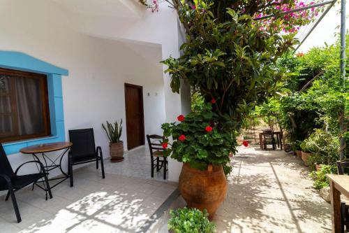 Hostal Jodi's Pension
