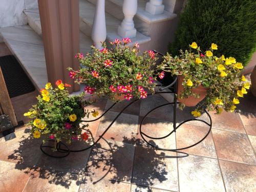 Apartamento Villa Mary 1