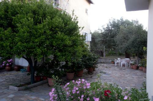 Apartamento Tasia Rooms