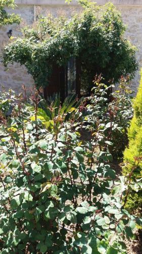 Apartamento Artemisia Traditional Home