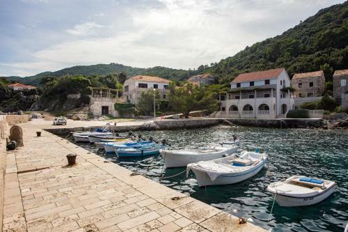 Hostal Guest House Hazdovac