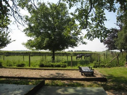 Apartamento Meschermolen 11