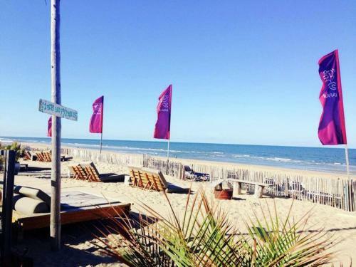 Sea Lodges Zandvoort - Pitstop 4 - One Dog Allowed