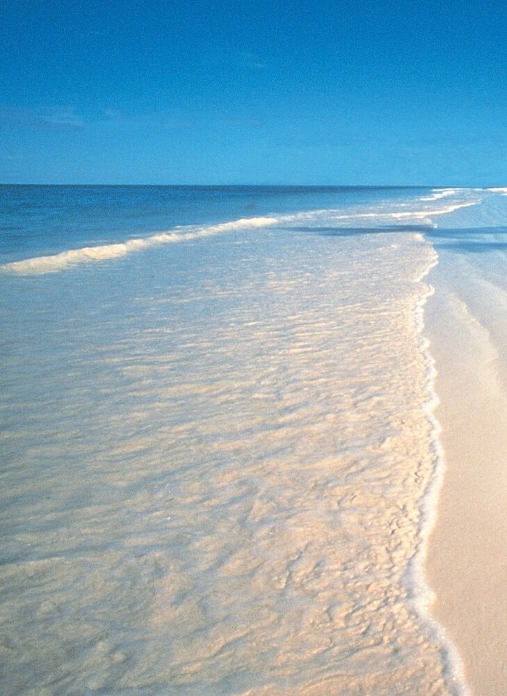 Hotel The Palms Zanzibar - All Inclusive