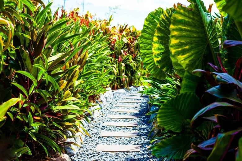 Hamilton Island Holiday Homes