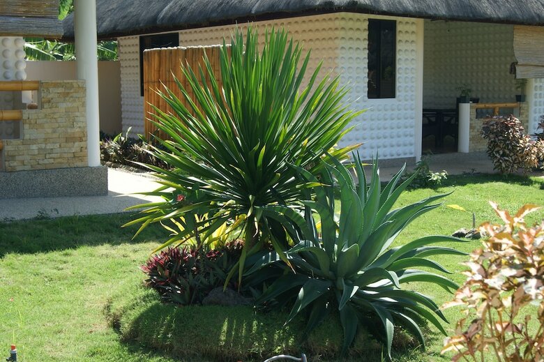 Apartamento Panglao Homes Resort & Villas