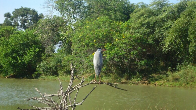 Heina Nature Resort & Yala Safari