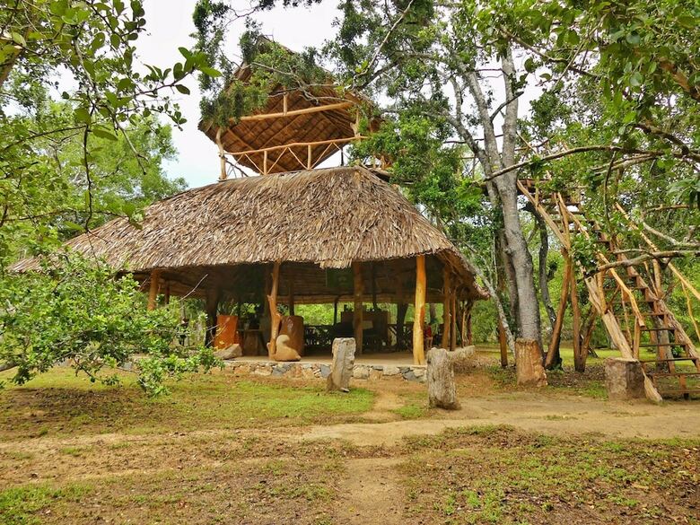 Yala Safari Camping