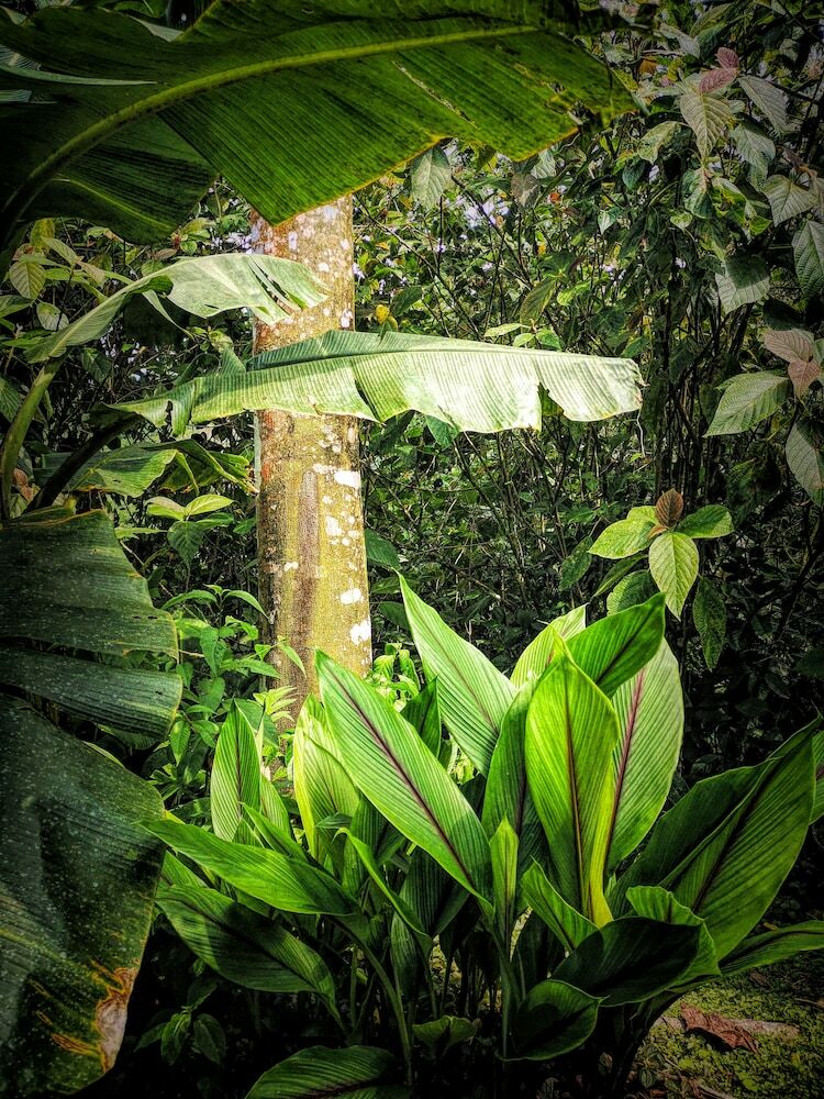 Apartamento Lost Iguana Resort And Spa