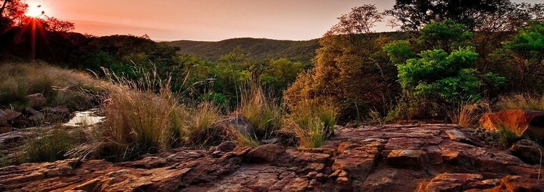 Hotel Lejwe La Metsi Game Farm Pty Ltd