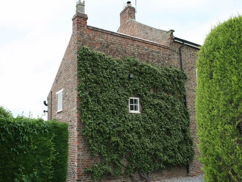 Bed & Breakfast Manor Guest House