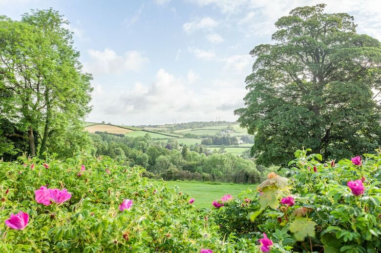 Hotel Mansion House Llansteffan