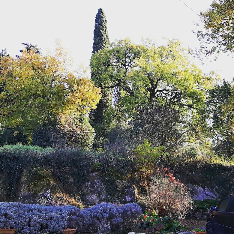 Bed & Breakfast Bella Di Ceciliano