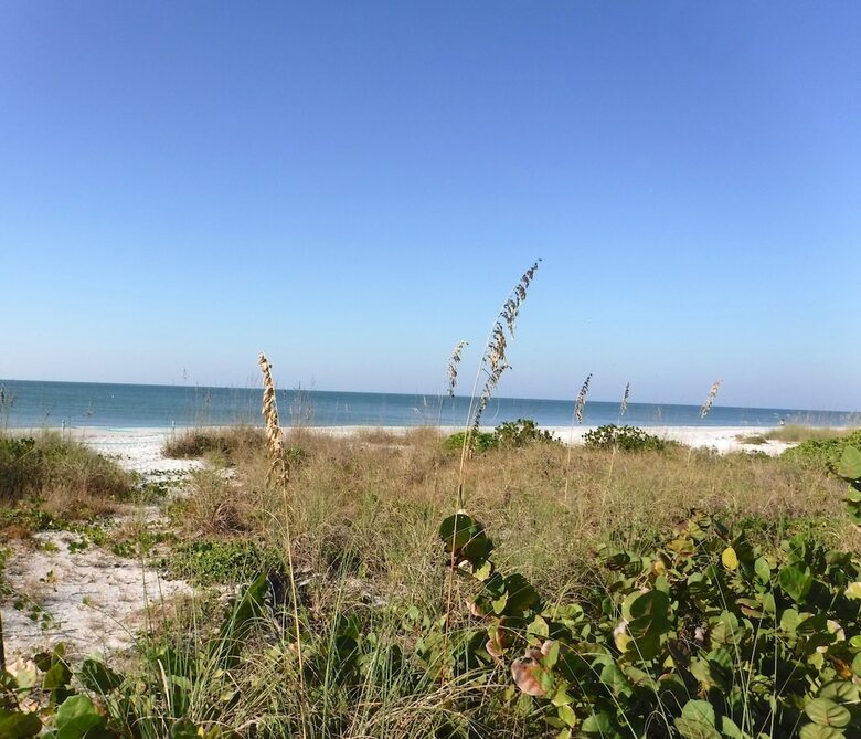 Hotel Waterside Inn On The Beach