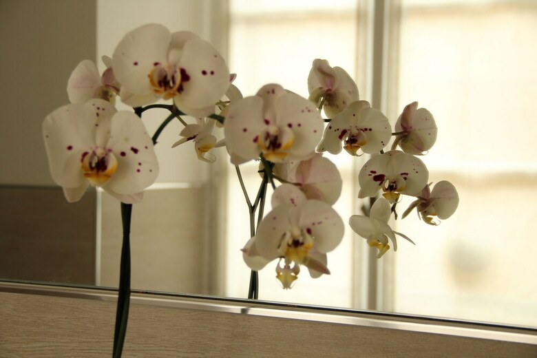 Bed & Breakfast Rooms In Rome