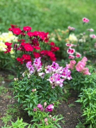 Apartamento Condom�nio Residencial Bugannvilias Flat