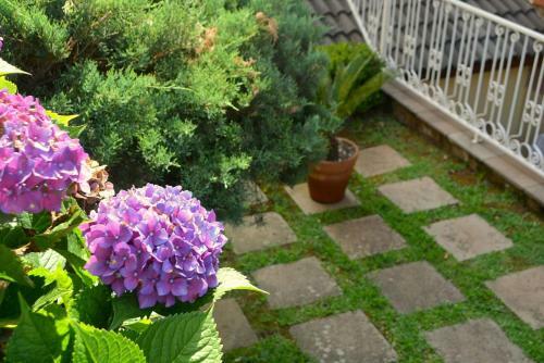 Apartamento Cobertura Linda Em Gramado