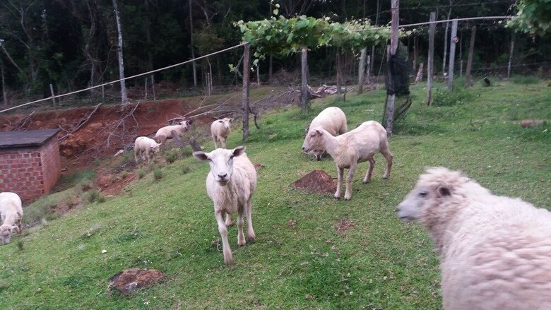 Hostal Pousada Maibe Amanhecer Na Serra