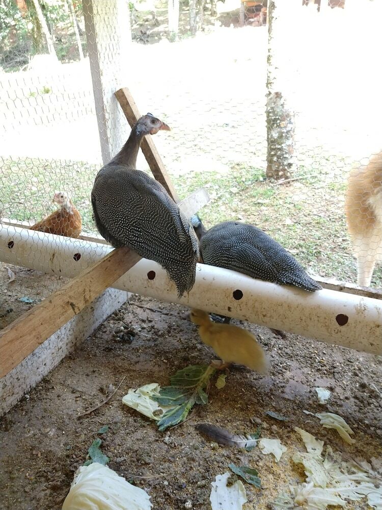Hostal Pousada Maibe Amanhecer Na Serra