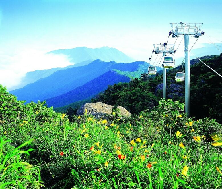 Hostal Muju In Guesthouse - Hostel