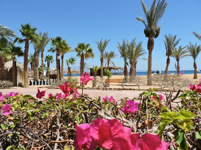 Hotel Coral Resort Nuweiba
