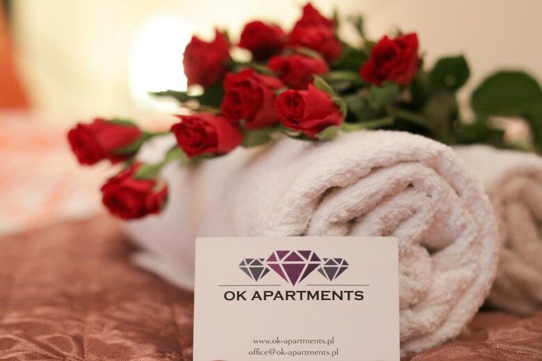 Ok Apartments Old Town
