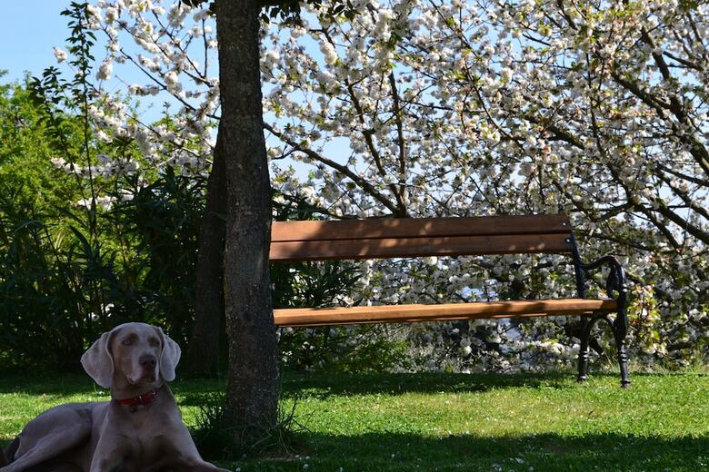 Agroturismo Agriturismo Monte A Pescia