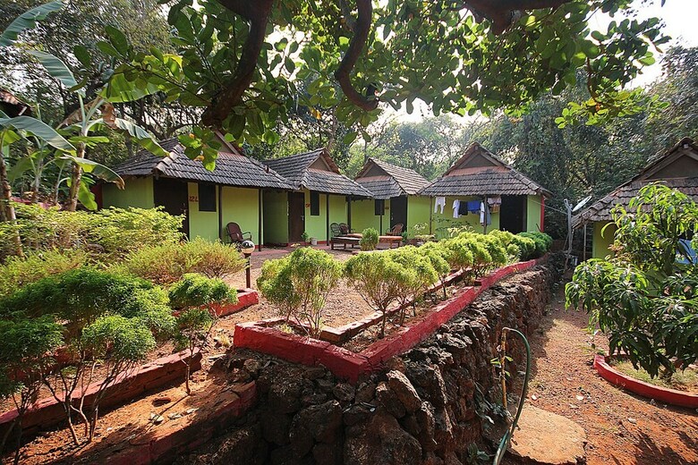 Hotel Curlies Zulu Land