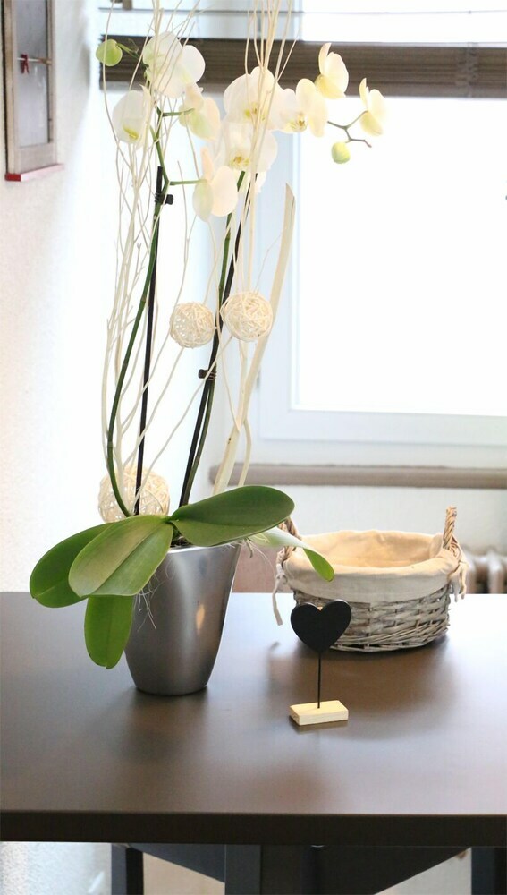 Apartamento Guesthouse Le Vauban