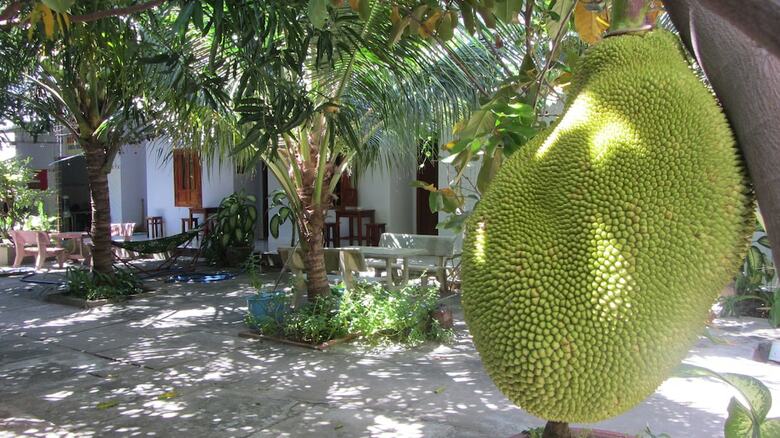 Hotel Duc Thao Guest House