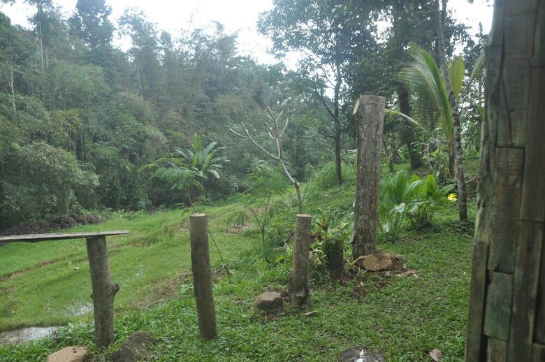 Hotel Tepi Sawah Lodge