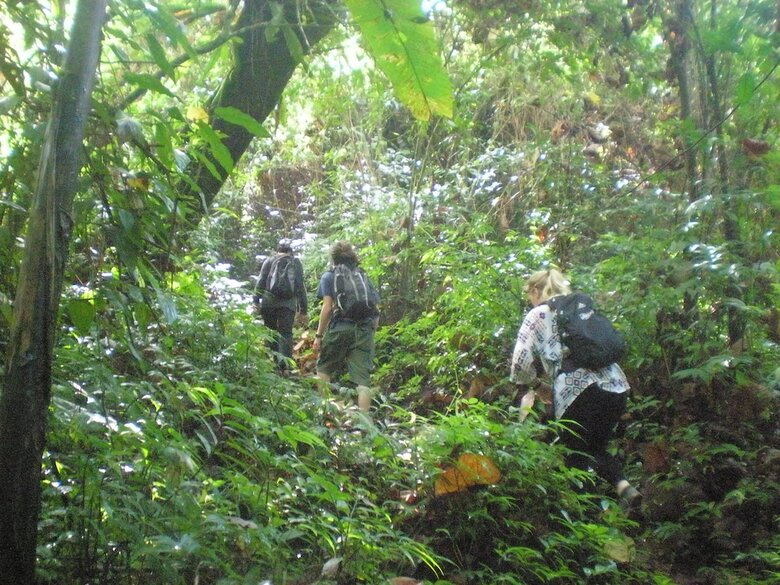 Hotel Tepi Sawah Lodge