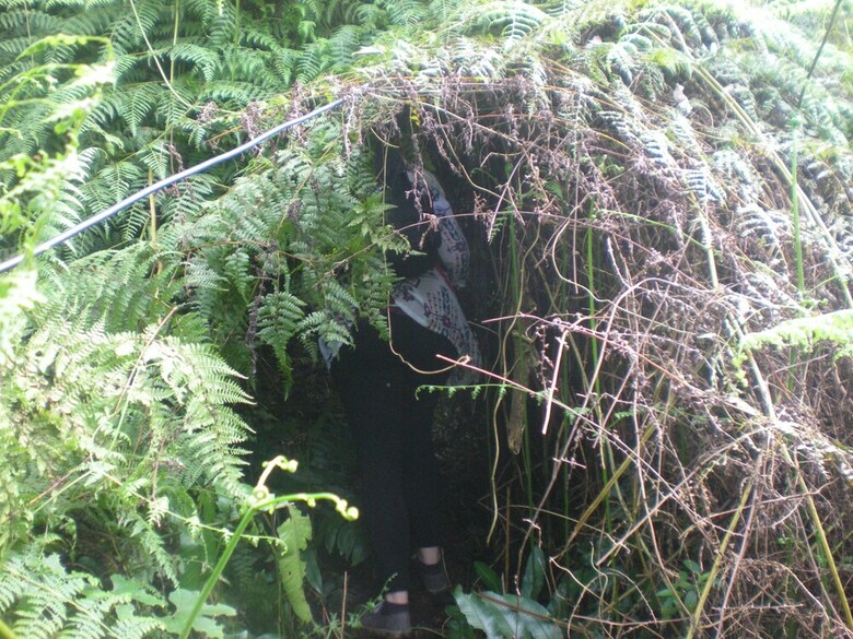 Hotel Tepi Sawah Lodge