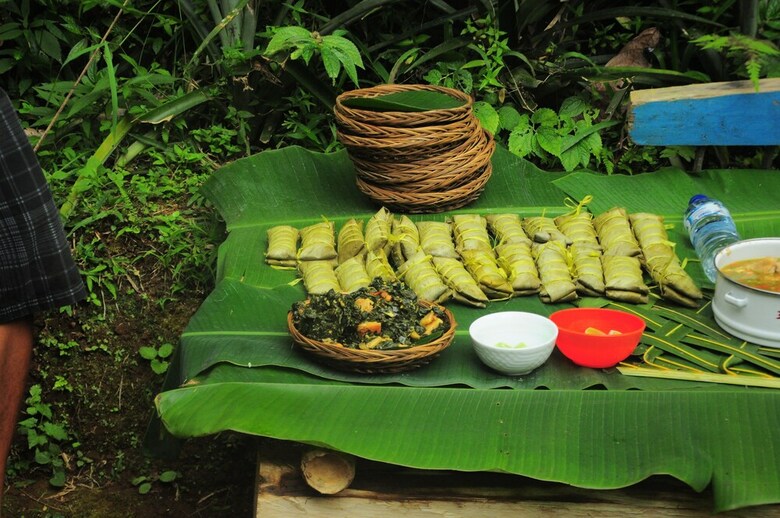 Hotel Tepi Sawah Lodge