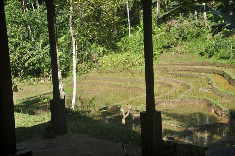 Hotel Tepi Sawah Lodge
